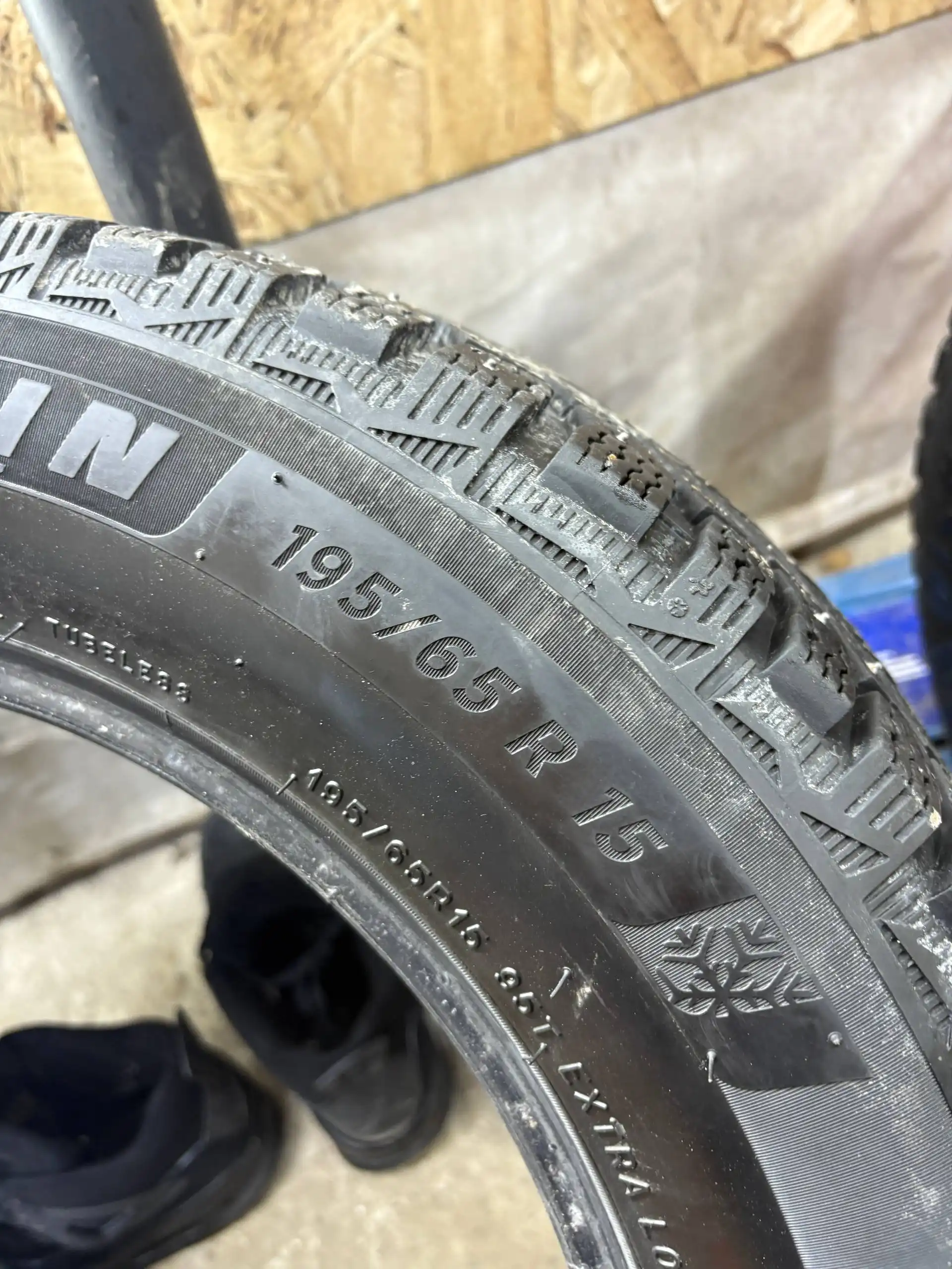 Продам 2 болона мишек