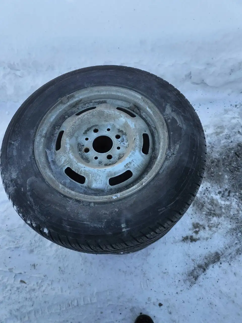 Продажа летней резины без дефектов - Шины и диски (Авто) в Новосибирск