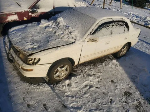 Разбор автомобиля Toyota Corolla 100 кузов - Запчасти в Барнаул