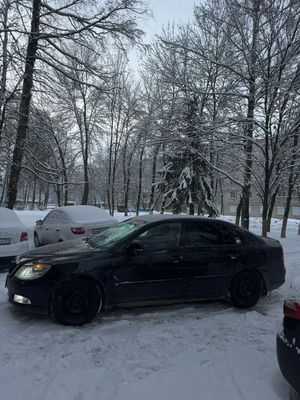 Продам Октавию с коробкой 1.8 - Авто в Саранск