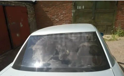 Куплю заднее стекло на ВАЗ 2110 - Автостекла в Саранск