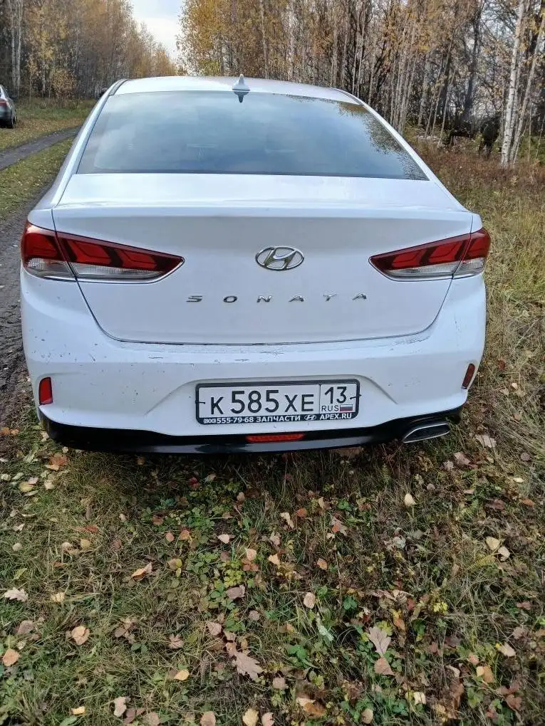 Hyundai Sonata 2017, АКПП, 2.0 л, 121000 км - Легковые автомобили (Авто) в Краснослободск