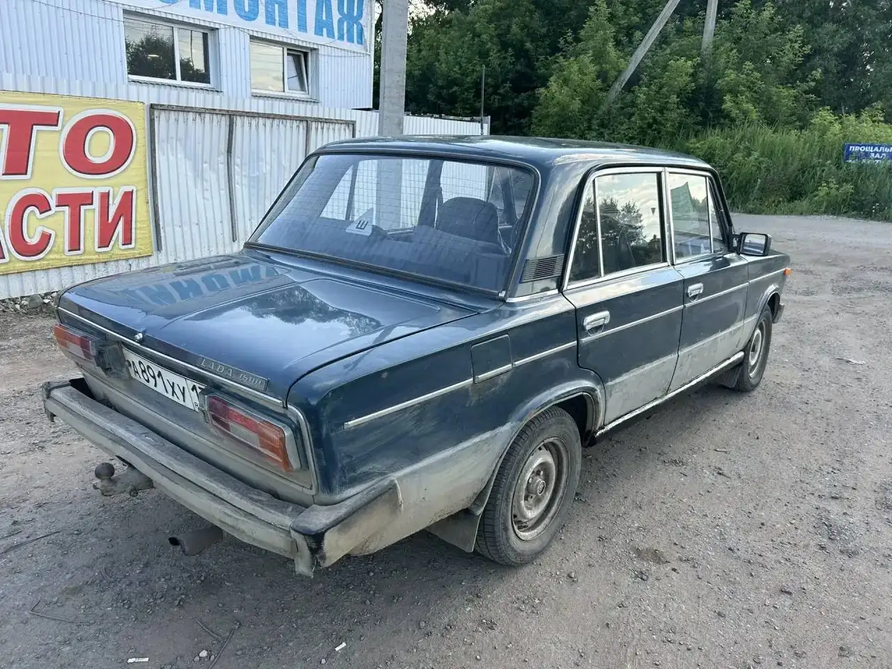 Фифа за 50000 рублей - Животные в Рузаевка