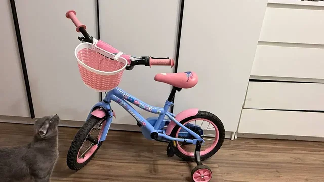 Детский велосипед Чуркин 3-6 лет - Обувь детская в Владивосток