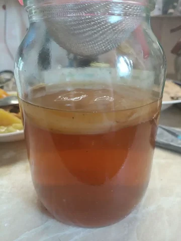 Отдам чайный гриб на литровую банку - Аксессуары для телефонов в Владивосток