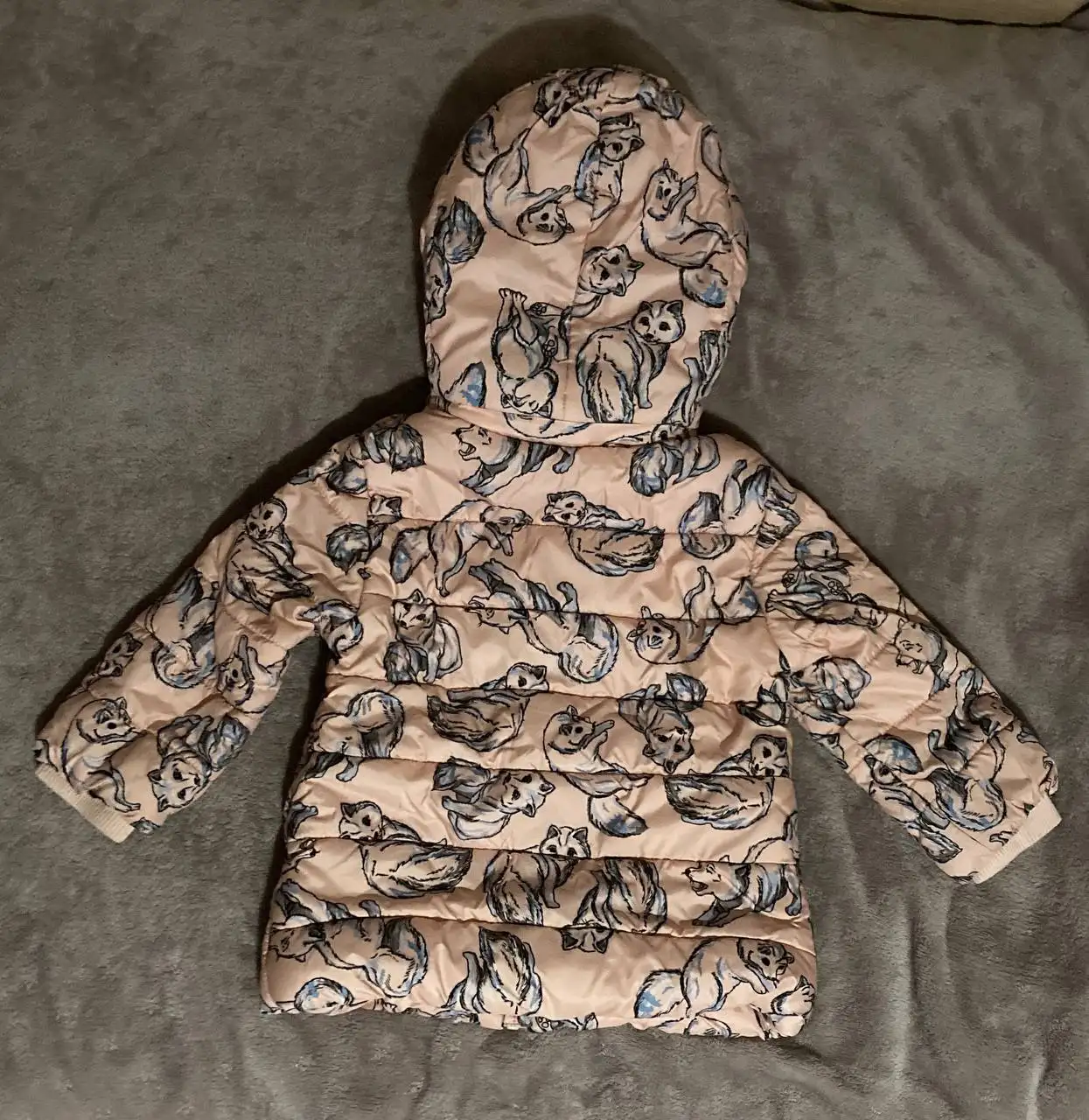 Куртка демисезон Pelican - Одежда (Товары для детей) в Владивосток