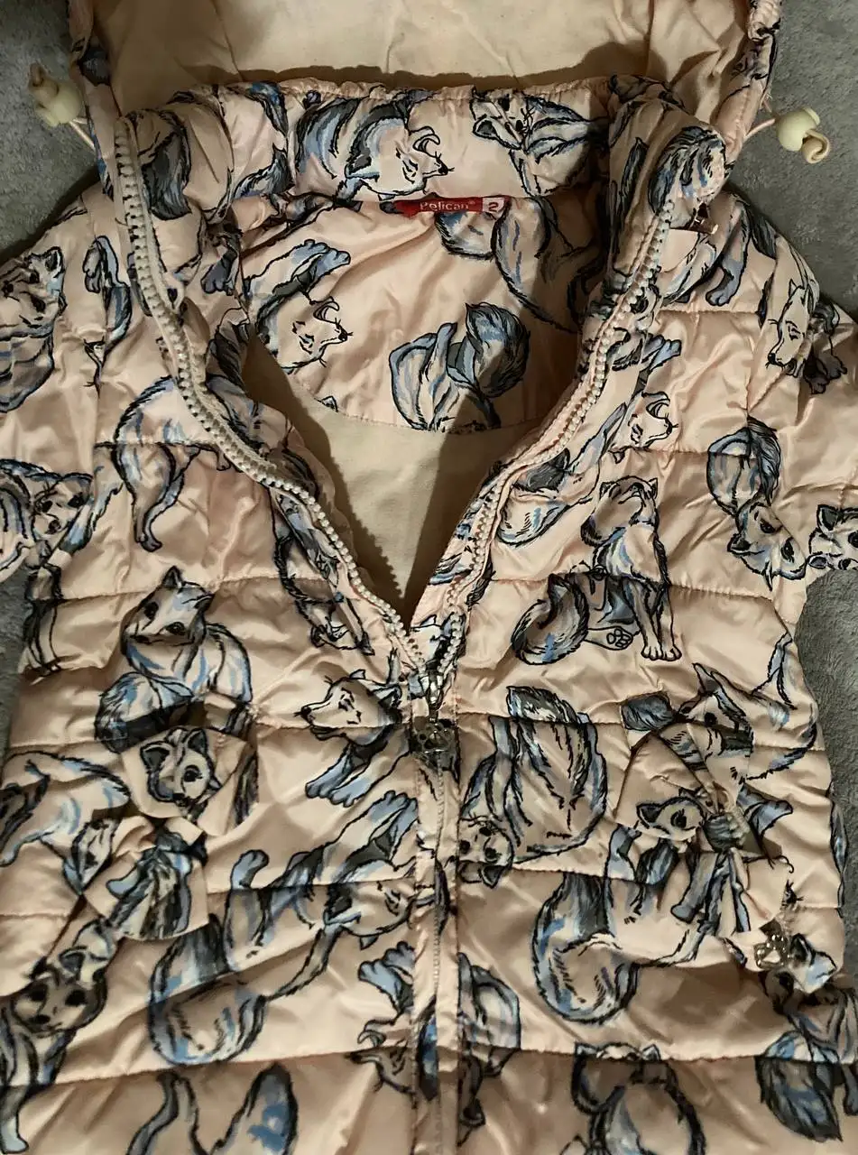 Куртка демисезон Pelican - Одежда (Товары для детей) в Владивосток