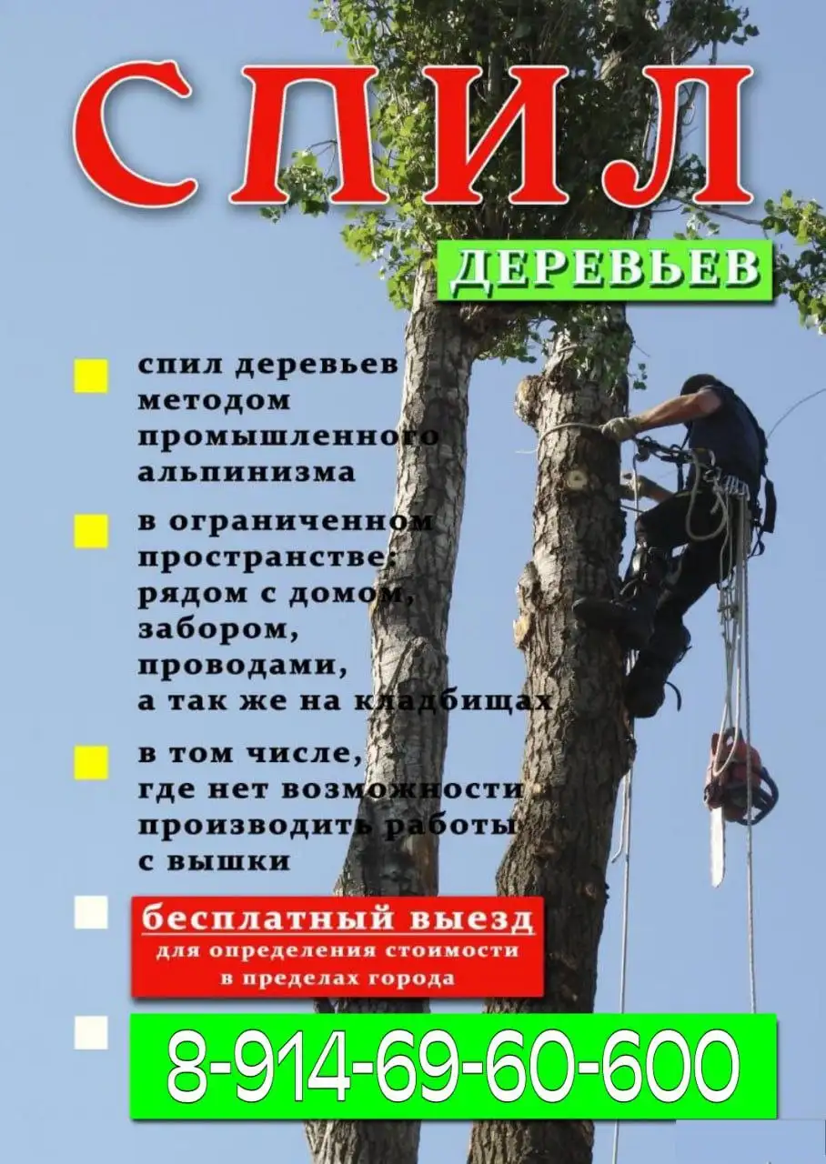 Услуги розыска наследников и оформления наследства - Услуги в Владивосток