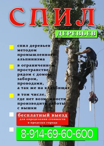 Услуги розыска наследников и оформления наследства - Кондитерские изделия в Владивосток