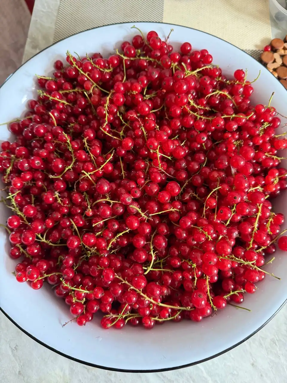Продам красную смородину - Ягоды (Продукты) в Владивосток