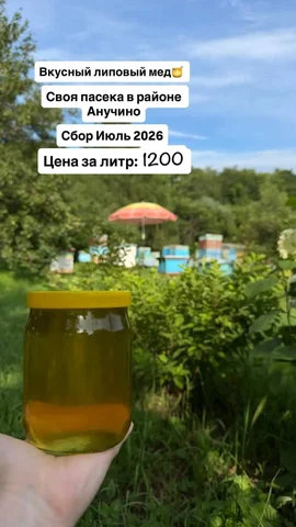 Липовый мед 2024 - Бытовая техника в Владивосток