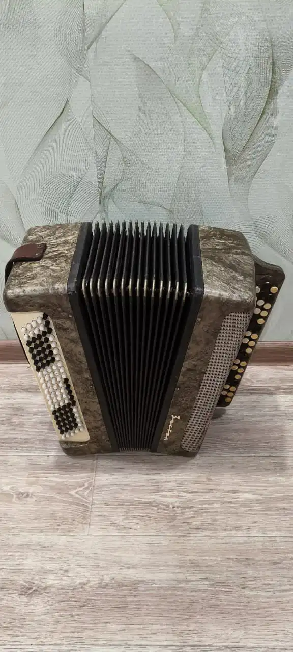 Баян Восток