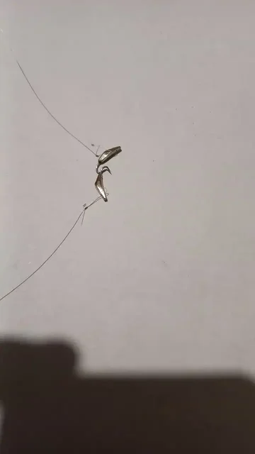 Комплект зимних удочек махалки на корь - Хобби и отдых в Владивосток