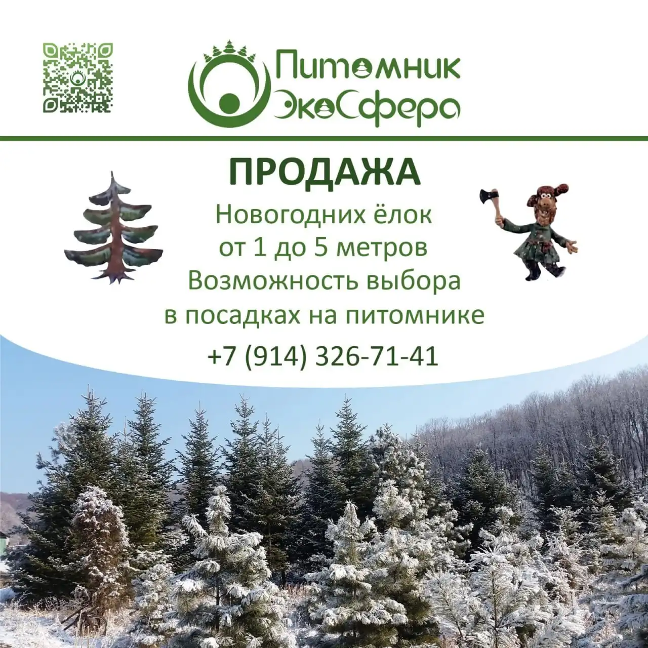 Питомник хвойных растений для Нового года