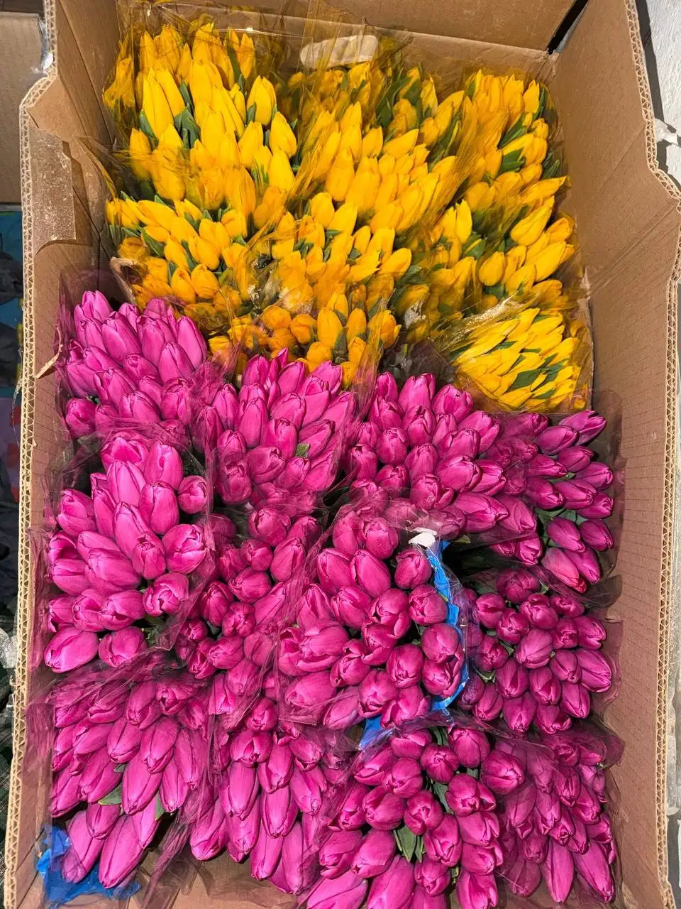 Продажа аккумуляторов в Владивостоке - Аккумуляторы (Запчасти) в Владивосток