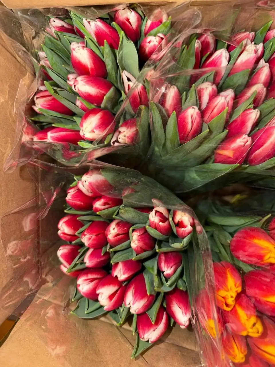 Продажа аккумуляторов в Владивостоке - Аккумуляторы (Запчасти) в Владивосток