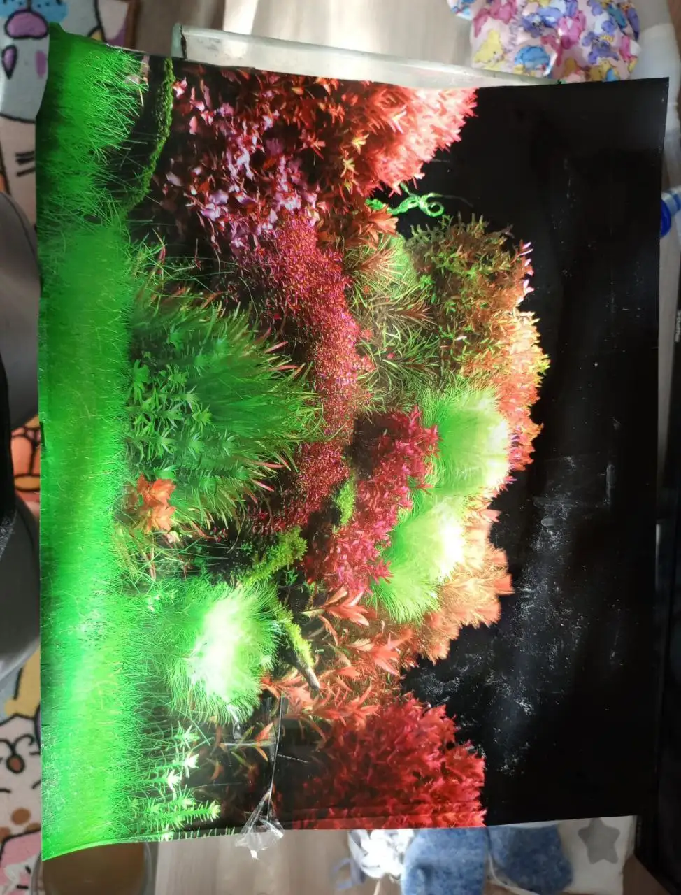 Продажа аквариума 20 литров с оборудованием - Аквариумистика (Хобби и отдых) в Владивосток