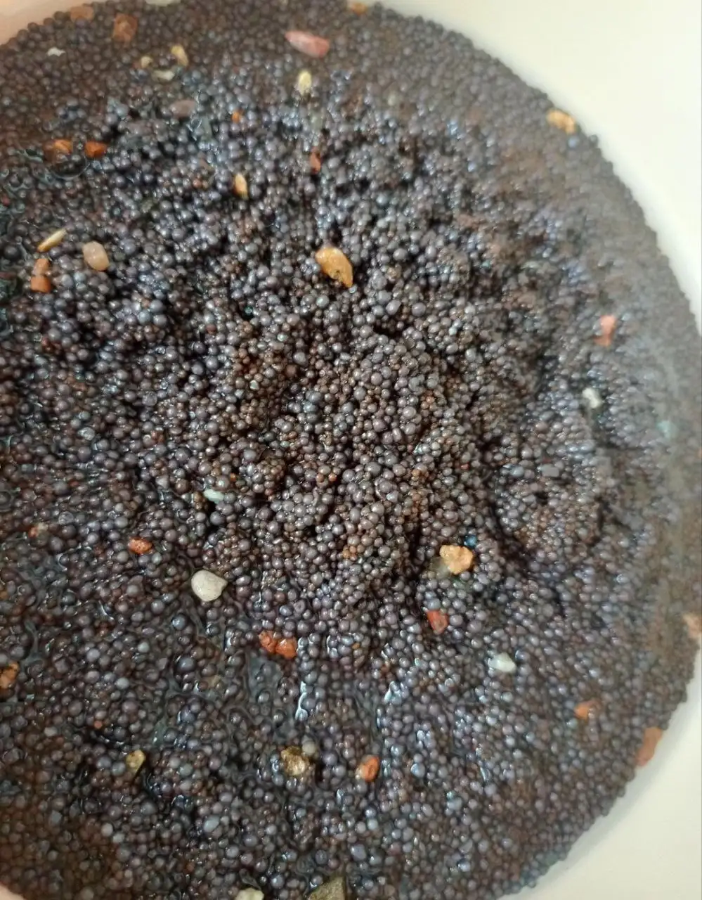 Продажа аквариума 20 литров с оборудованием - Аквариумистика (Хобби и отдых) в Владивосток