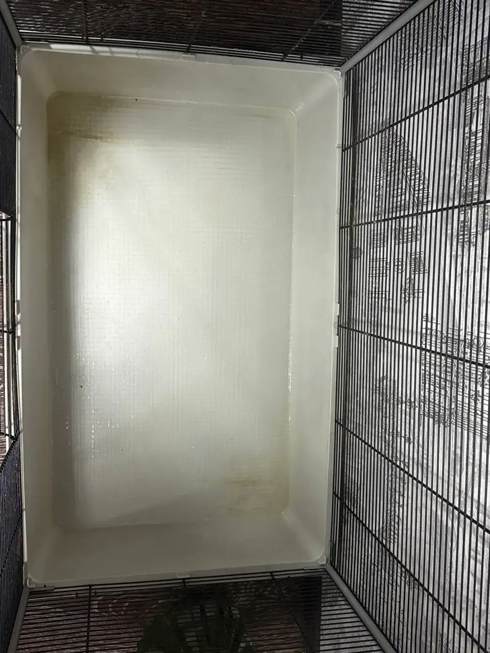 Продам клетку - Барахолка в Владивосток