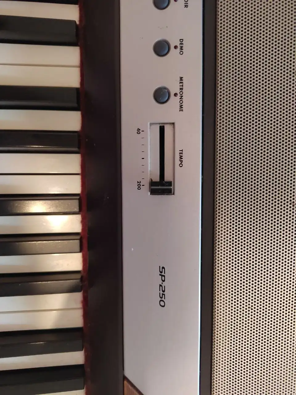 Продам электро пианино Korg SP-250 - Музыкальные инструменты (Хобби и отдых) в Владивосток