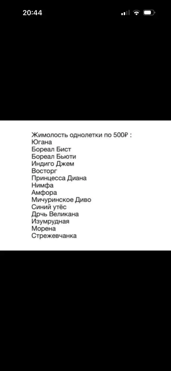 Саженцы - Барахолка в Владивосток