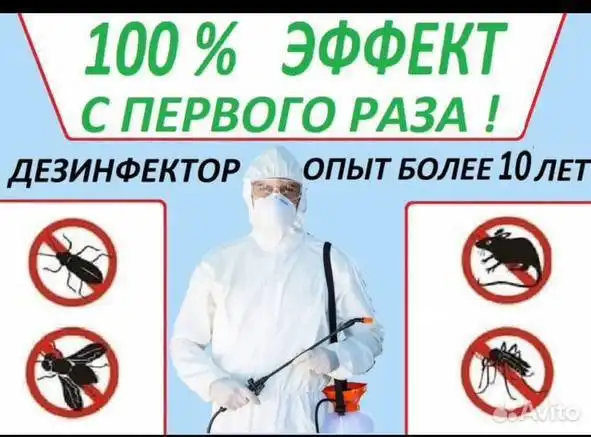 Обработка от насекомых и грызунов