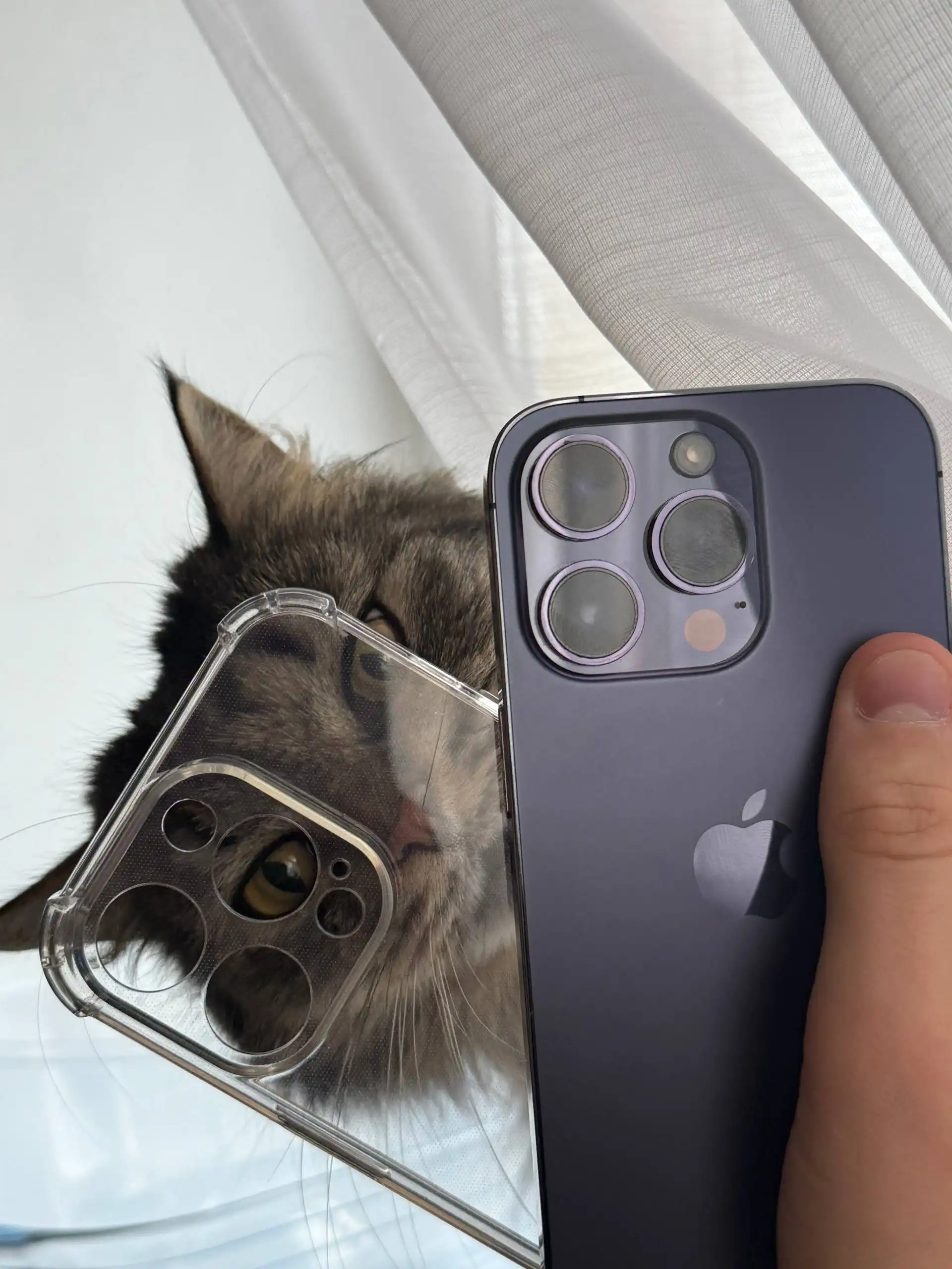 Продам iPhone 14 Pro 256 ГБ Deep Purple в отличном состоянии