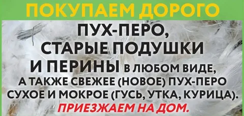 Покупка гусиного и утиного пуха-пера - Украшения в Оренбург