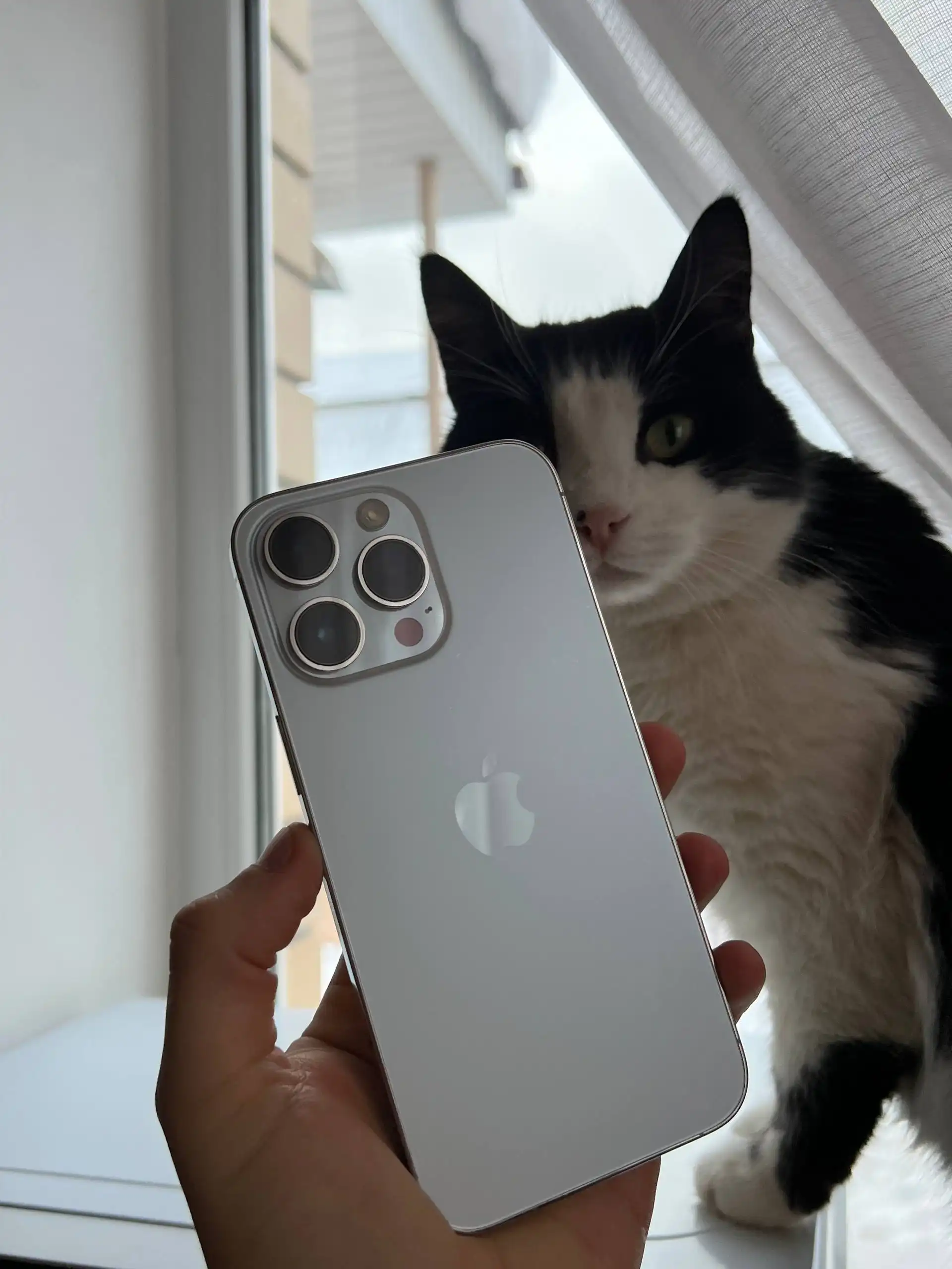 Продажа iPhone 14 Pro Max 256 gb Silver в отличном состоянии