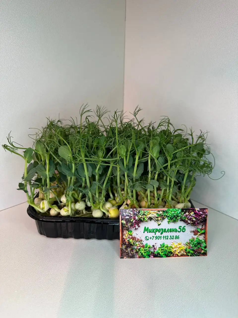 Продажа горошка в Оренбурге - Продукты питания (Барахолка) в Оренбург