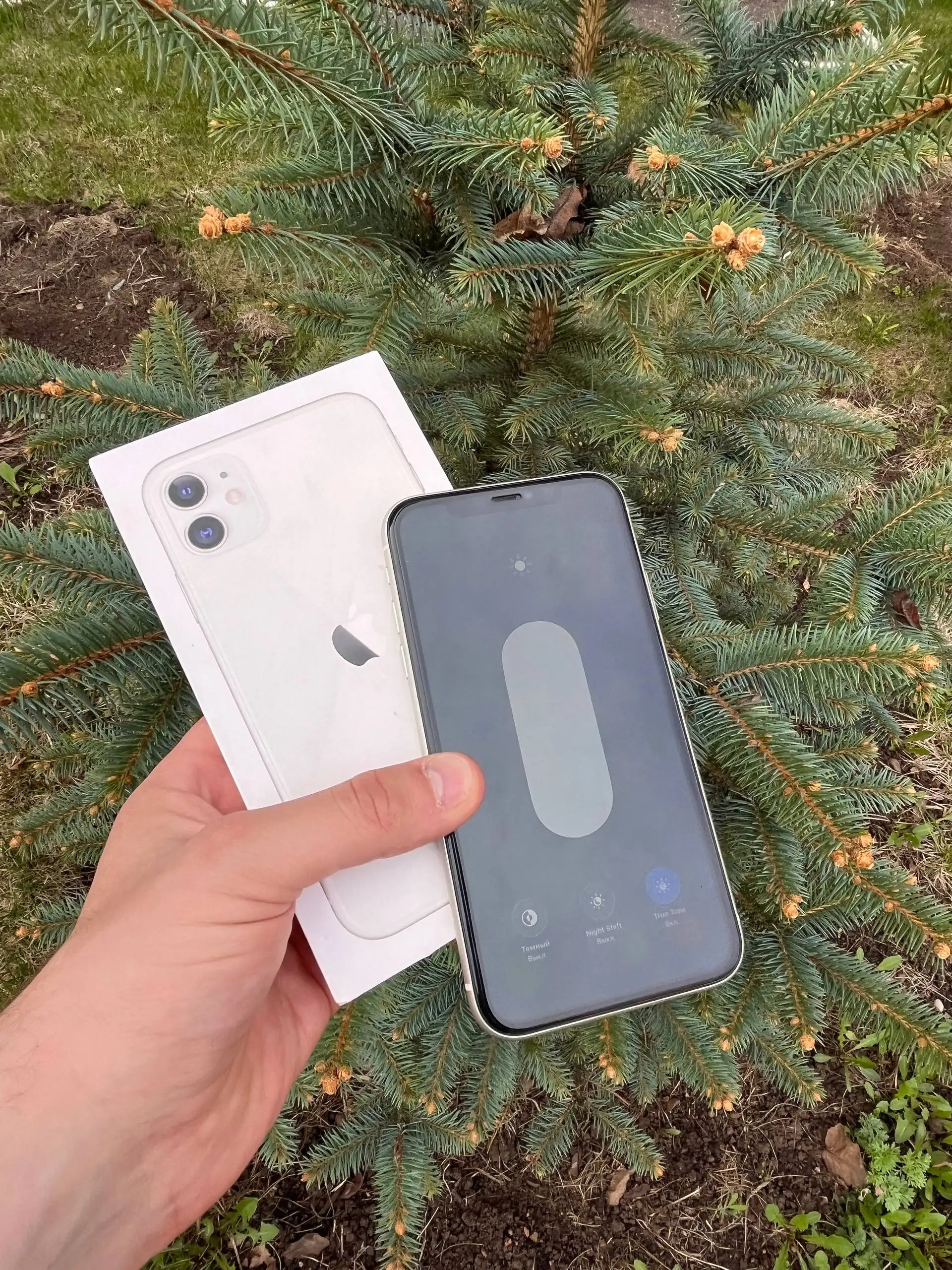 Продам iPhone 11 128 GB в отличном состоянии - Смартфоны и телефоны (Электроника) в Оренбург