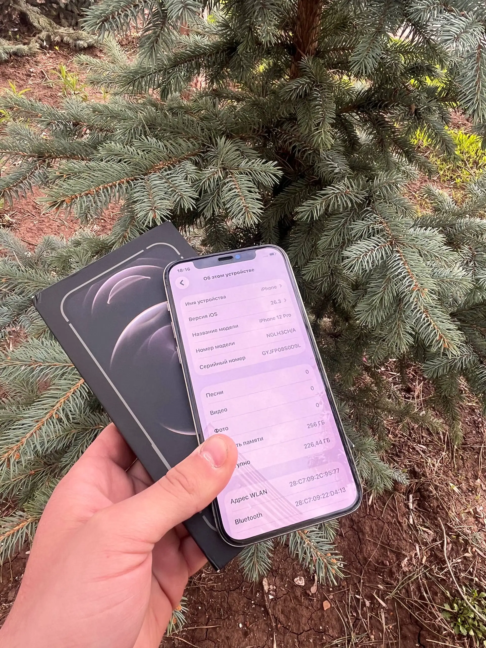 Продам iPhone 12 Pro 256 GB Graphite в отличном состоянии - Смартфоны (Электроника) в Оренбург