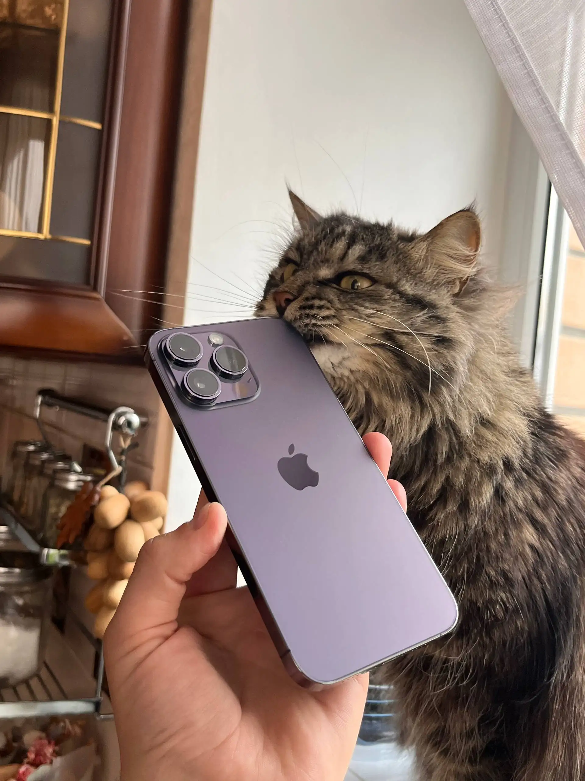 iPhone 14 Pro Max 256GB Purple - Мобильные телефоны (Электроника) в Оренбург