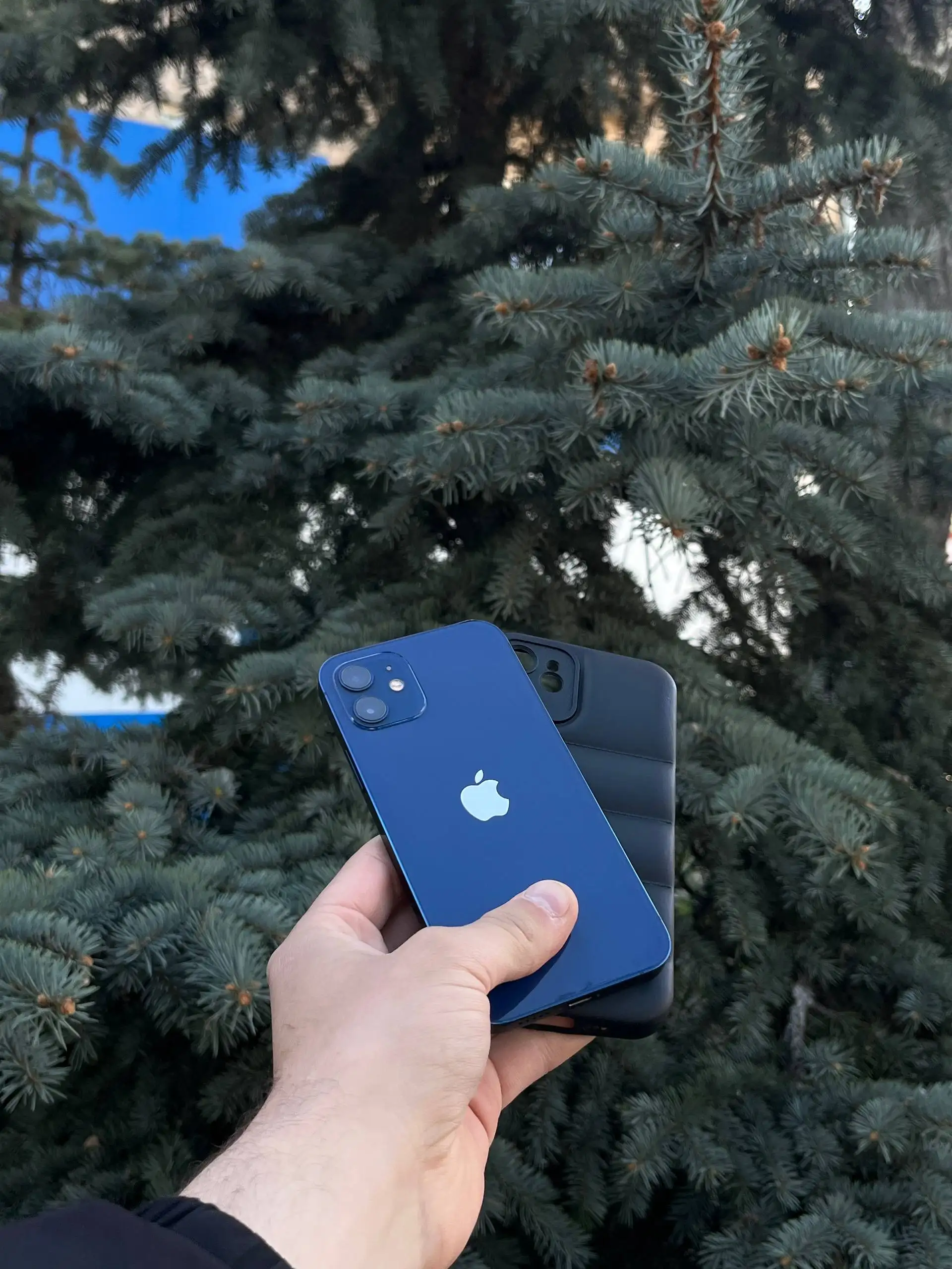 iPhone 12 64 GB Blue - Мобильные телефоны и аксессуары (Электроника) в Оренбург