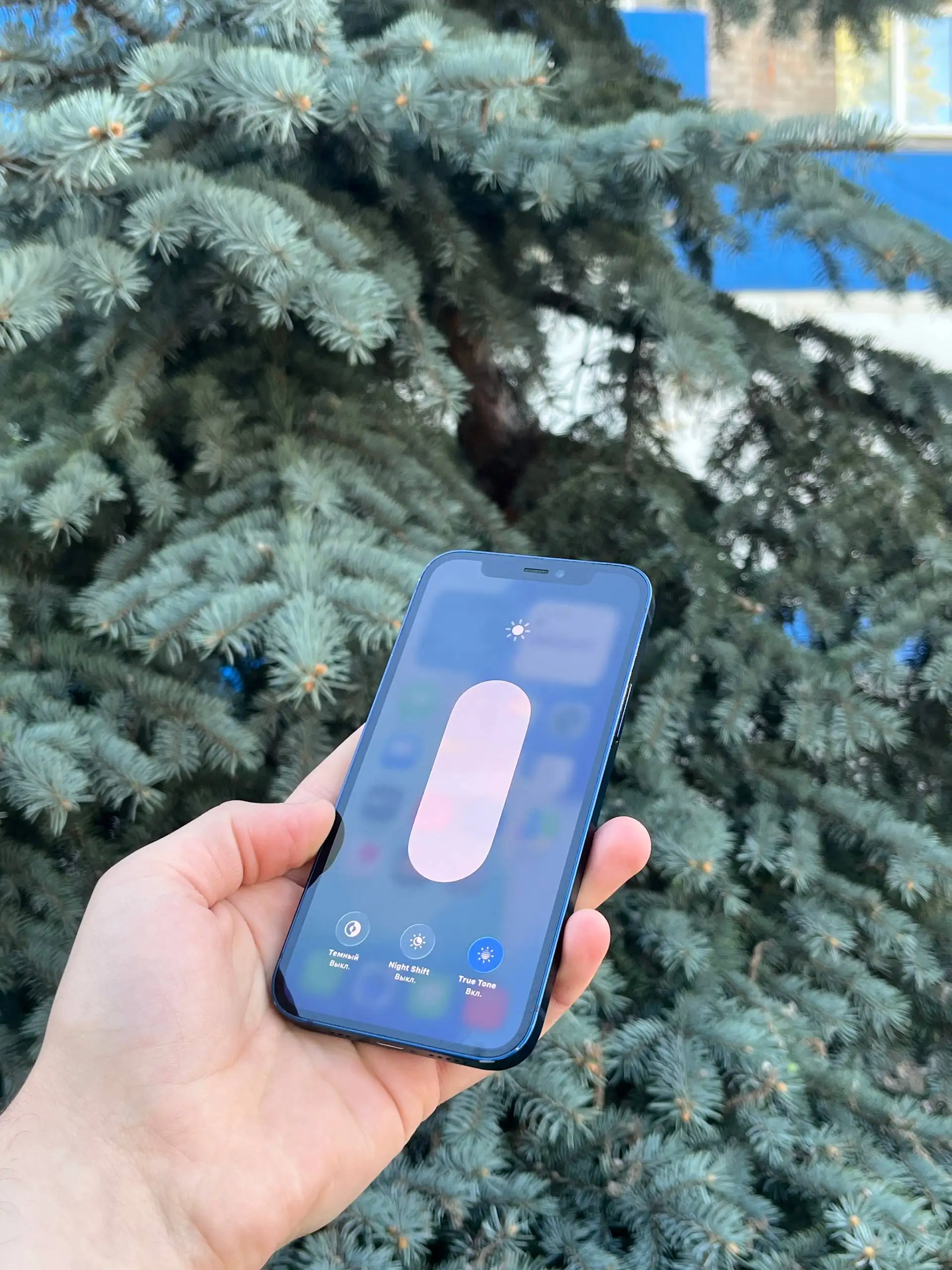 iPhone 12 64 GB Blue - Мобильные телефоны и аксессуары (Электроника) в Оренбург