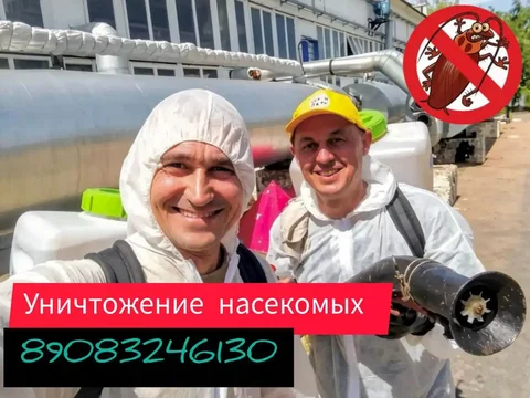 Дезинфекция и уничтожение насекомых - Парикмахерские услуги в Оренбург