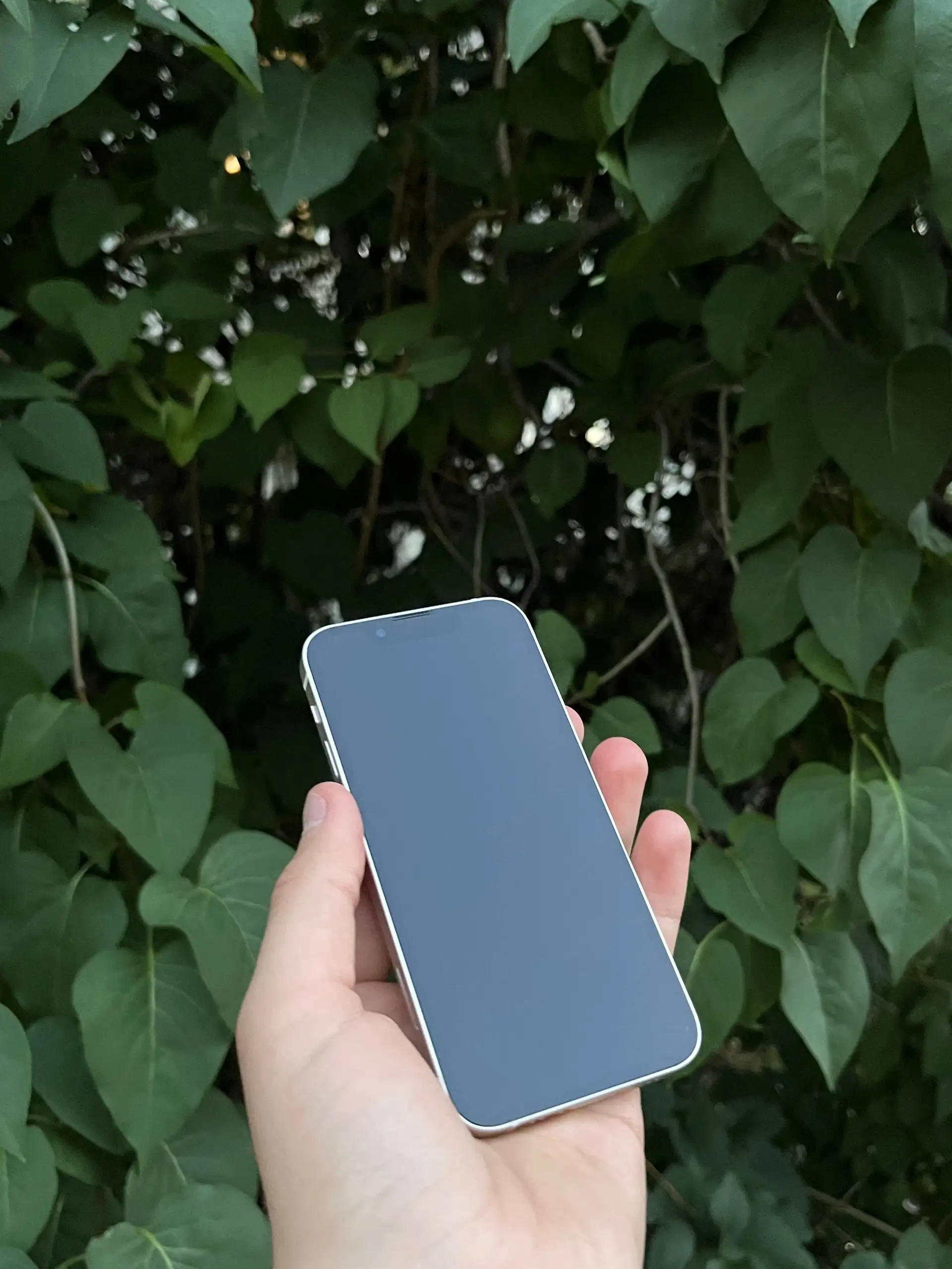 Продам iPhone 13 Mini 256GB White - Мобильные телефоны (Электроника) в Оренбург