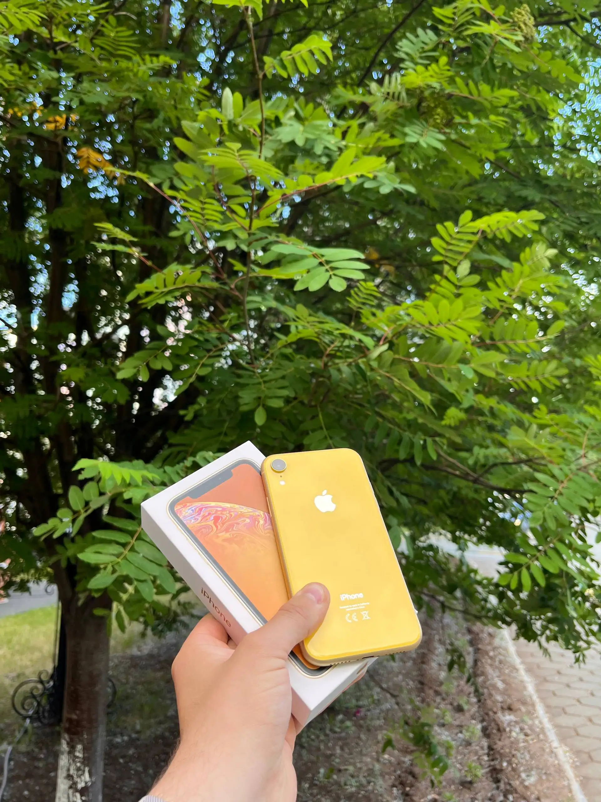 iPhone XR 64 GB Yellow - Электроника в Оренбург
