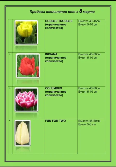 Предзаказ тюменских тюльпанов к 8 марта - Подарочные сертификаты в Тюмень