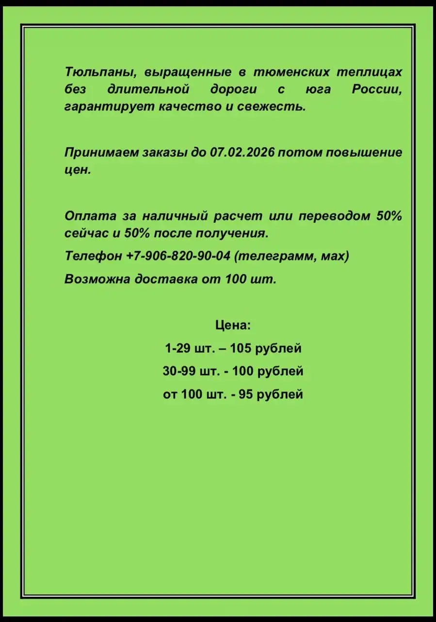 Предзаказ тюменских тюльпанов к 8 марта - Цветы (Хобби и отдых) в Тюмень