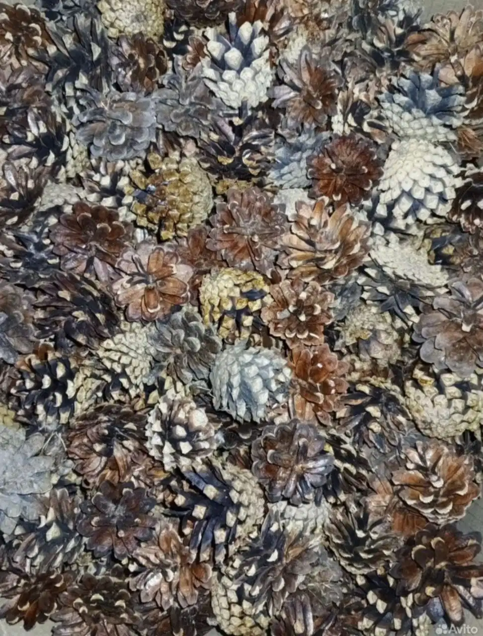 Шишка сосновая термообработанная крупная - Барахолка в Тюмень