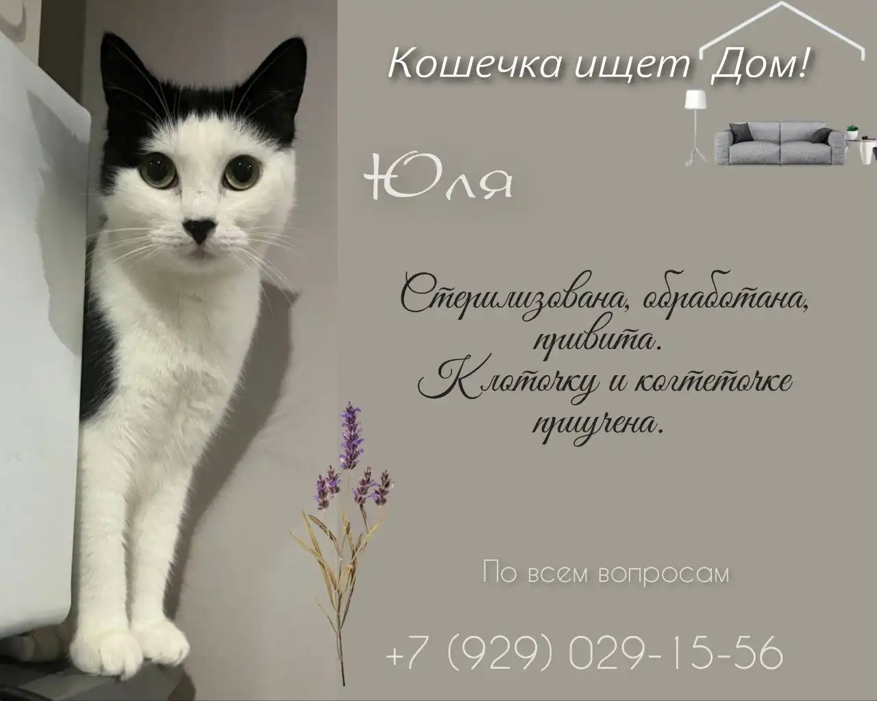 Объявление от Юли - Барахолка в Тюмень