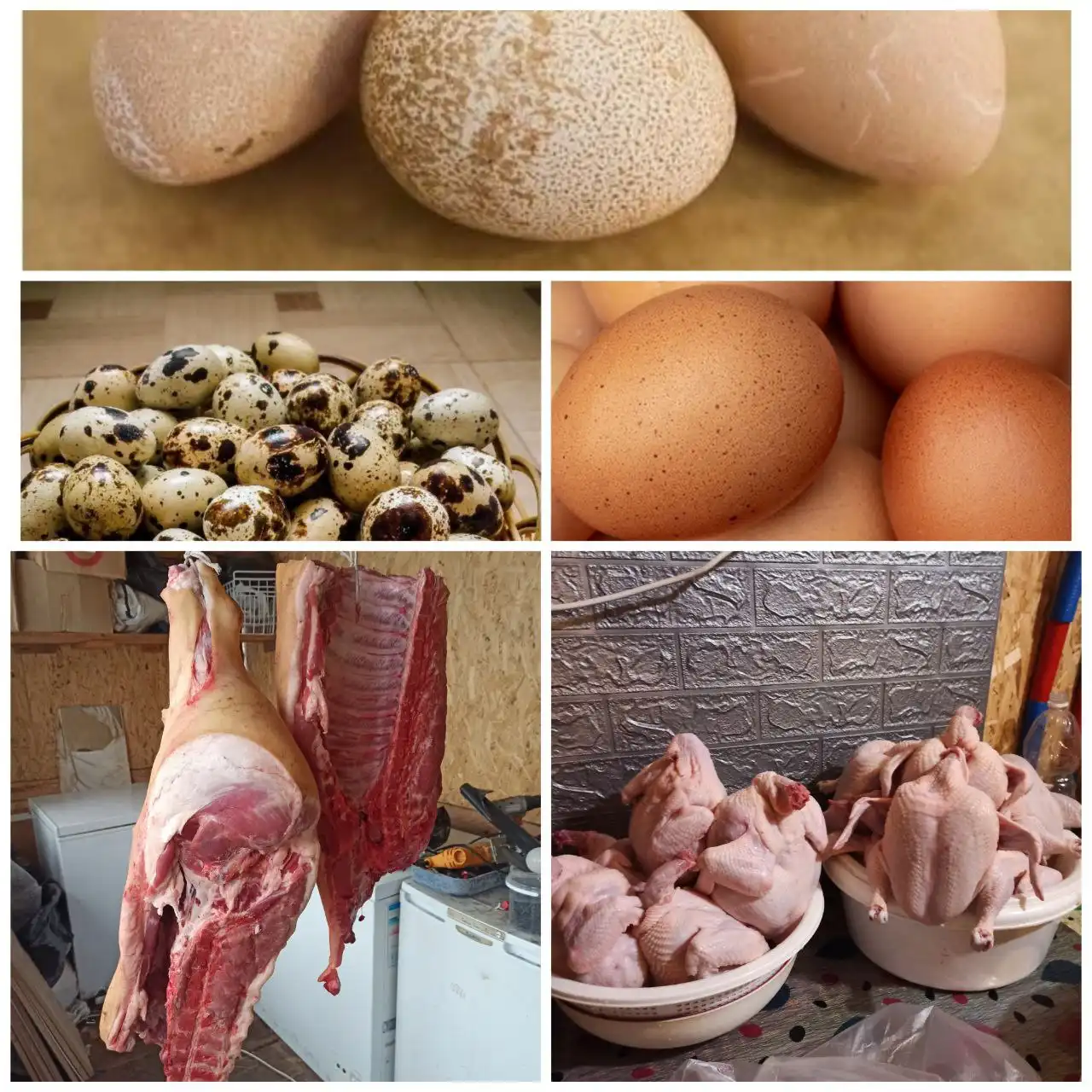 Продажа домашних яиц, свинины и бройлеров