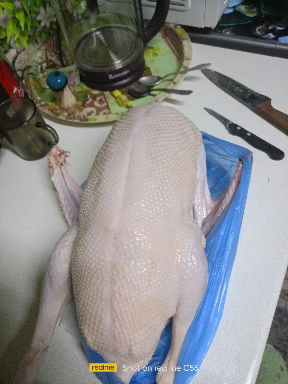 Продажа домашних гусей - Птица (Животные) в Тюмень