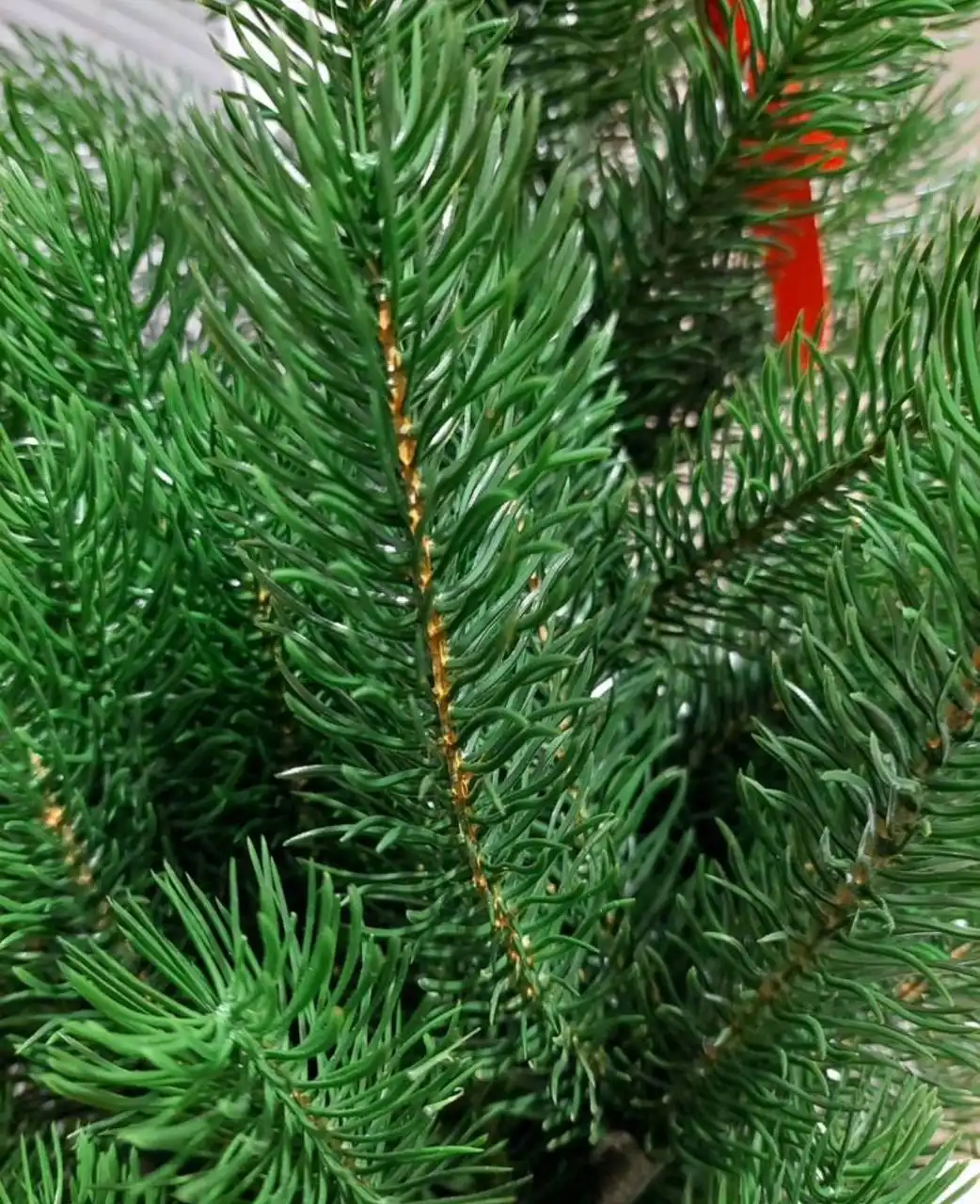 Ель литая «царь елка» 180 см - Новогодние украшения (Хобби и отдых) в Тюмень