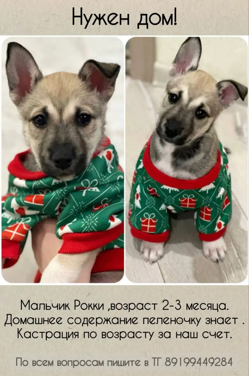 Продажа товара в Тюмени - Барахолка в Тюмень