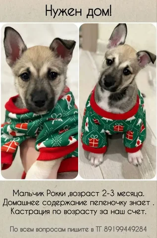 Продажа товара в Тюмени - Холодильники в Тюмень