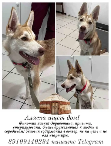 Аляска - Холодильники в Тюмень