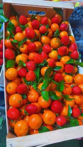 Продажа мандаринов - Холодильники в Тюмень