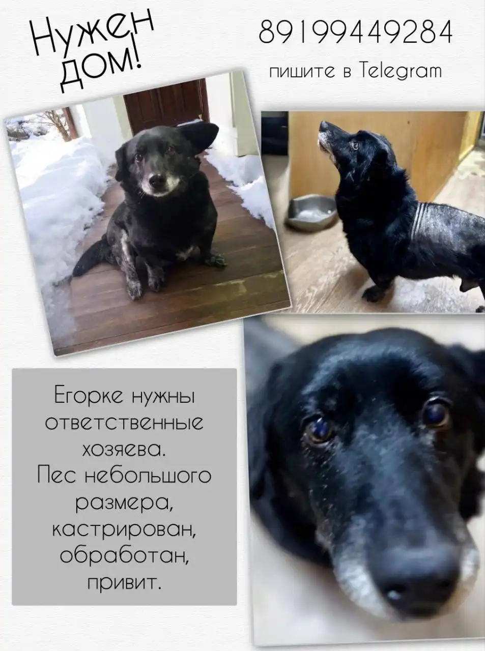 Егорка - телефон для связи - Услуги в Тюмень